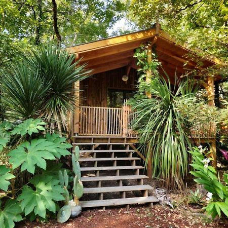 Camping Aux Couleurs Du Ferret Lege-Cap-Ferret Bagian luar foto