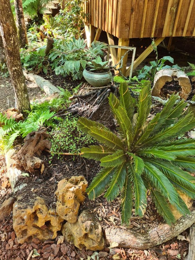 Camping Aux Couleurs Du Ferret Lege-Cap-Ferret Bagian luar foto