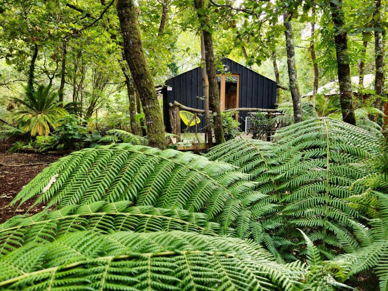 Camping Aux Couleurs Du Ferret Lege-Cap-Ferret Bagian luar foto