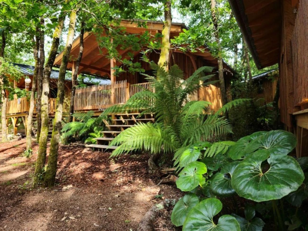 Camping Aux Couleurs Du Ferret Lege-Cap-Ferret Bagian luar foto