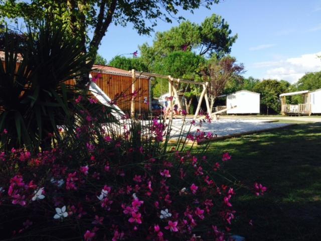 Camping Aux Couleurs Du Ferret Lege-Cap-Ferret Bagian luar foto